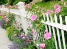 Kwikfynd Garden fencing
fadden